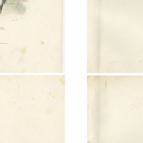 Four Antique Alpine Trades & Folk Costume Engravings, Switzerland & Tyrol, 1850, close-up 2