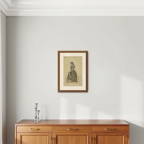 Original Antique Costume Print "La Tapada" of Lima, Peru by A.A. Bonnaffé, 1855, shown framed on a wall