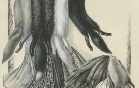 French Art Nouveau Fashion Design of Fur Pelts and Trimmings, c. 1910, close-up 2