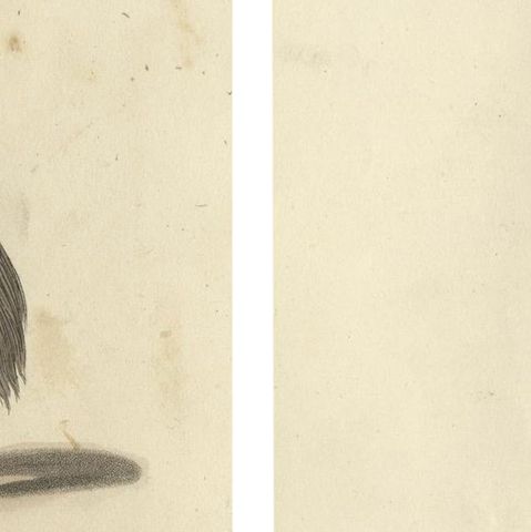 Kirghiz Elegance Engraved: A Study of 19th Century Central Asian Attire, 1814, close-up 4