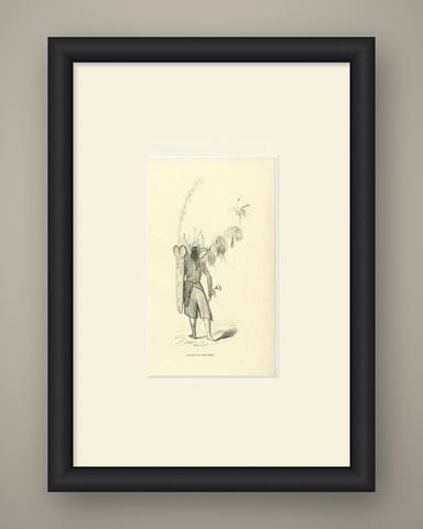 Warrior of the Island of Solor, Antique Wahlen Costume Print, 1843-1844, shown framed