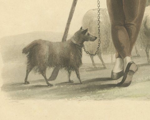 Shepherd near Valenciennes with his Flock, Antique Ackermann Print, 1817, close-up 2