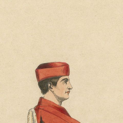 In Council and Commerce: A Venetian Senator in Robes of Office, 1847, close-up 5