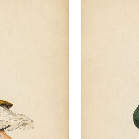 Antique Armenian Costume Prints, Hand-Colored Ethnographic Lithographs, 1852, close-up 1