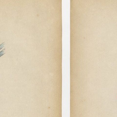 Antique Costume Print Pair Annam (Vietnam) Soldiers, Hand-Colored, 1854, close-up 1