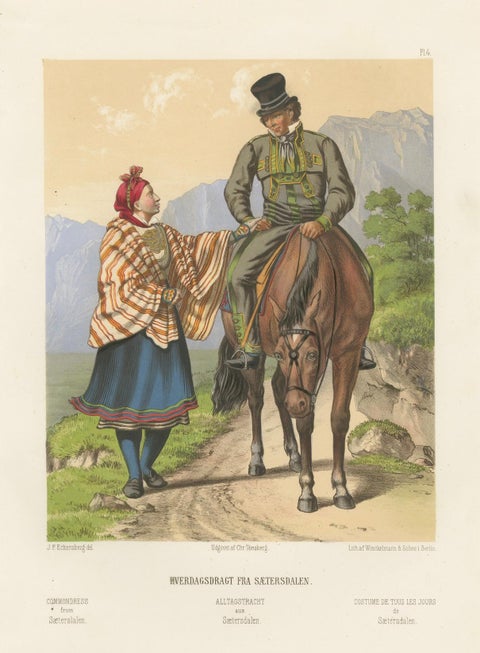 Setesdal Traditional Dress, Daily Wear from Norway, Antique Lithograph, c.1860, close-up 5