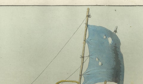 Chinese Wind Chariot Merchant, Ferrario Costume Print, Hand-Colored c.1815, close-up 4