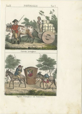 Portuguese Ox Cart and a Lady in a Palanquin, Hand Colored Lithograph, 1842, view 2