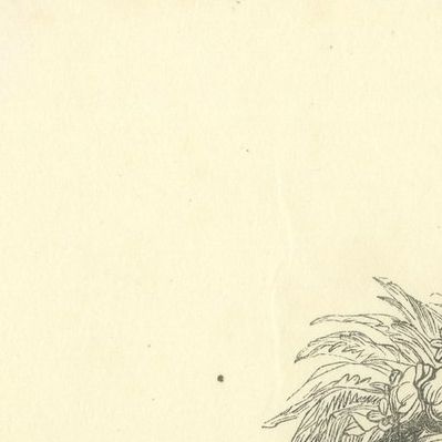 Native of Massacre Island, Antique Wahlen Costume Print, 1843-1844, close-up 2