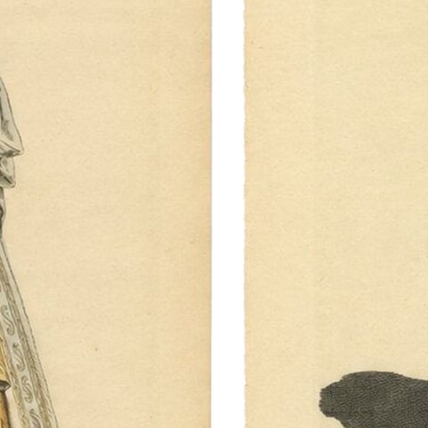 Roman Noblewomen Costume Engravings, Hand-Colored, Rome 1581- Published 1749, close-up 6