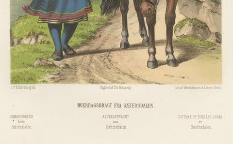 Setesdal Traditional Dress, Daily Wear from Norway, Antique Lithograph, c.1860, close-up 1