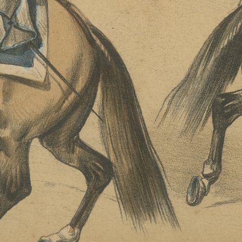 Spanish Cavalry Lithograph by José Rubio y Villegas: Mounted Lancer, 1861, close-up 5
