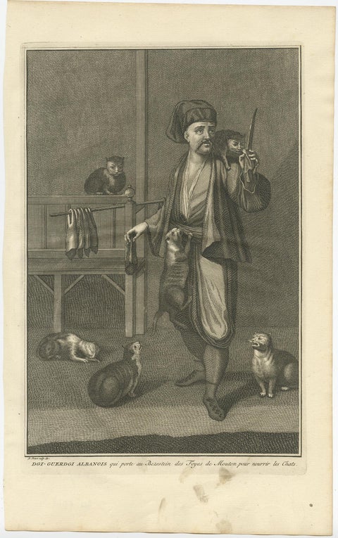 Antique Print of the Albanian Dgi-Guerdgi Feeding Sheep Liver to Cats, 1727, view 3