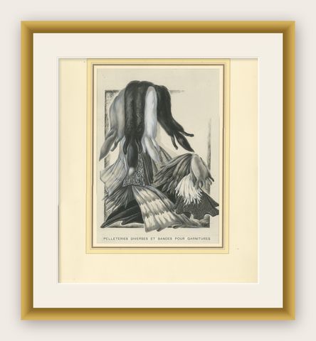 French Art Nouveau Fashion Design of Fur Pelts and Trimmings, c. 1910, shown framed