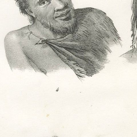 Portrait Study of Indigenous People of New Holland (modern-day Australia), 1836, close-up 6