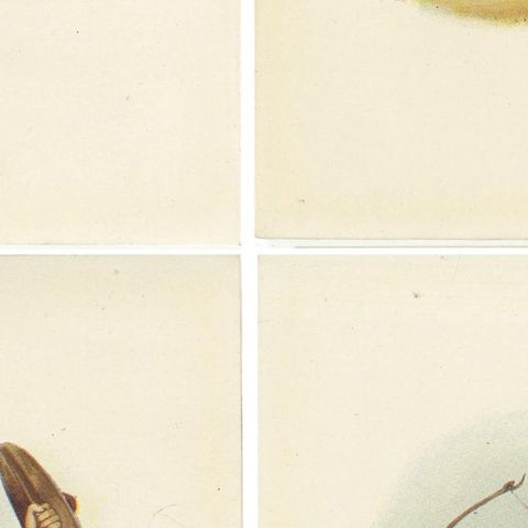 Set of 4 Original Antique Prints of Costumes of the Clans of Scotland, close-up 2