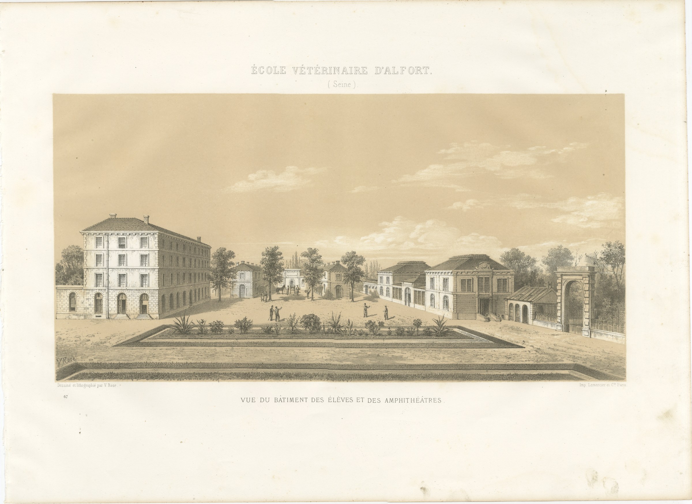 Alfort Veterinary School, Antique French Veterinary Print, 1873, view 2