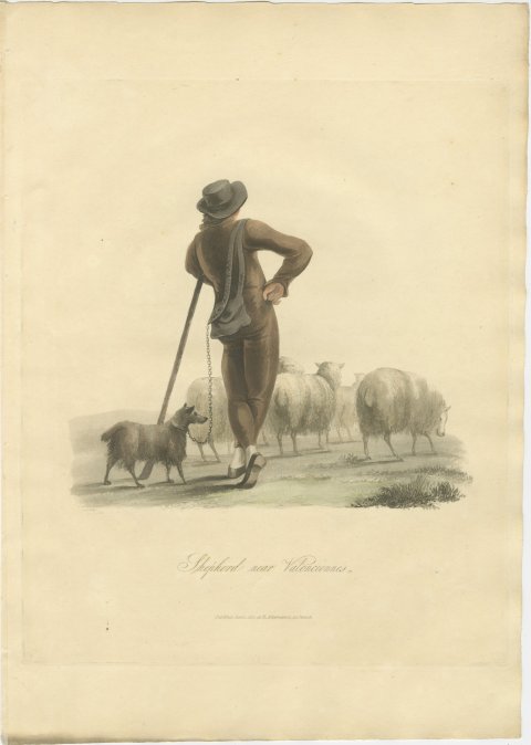 Shepherd near Valenciennes with his Flock, Antique Ackermann Print, 1817, view 2