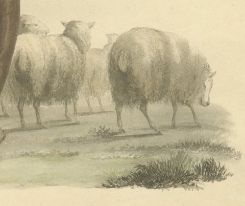 Shepherd near Valenciennes with his Flock, Antique Ackermann Print, 1817, close-up 3