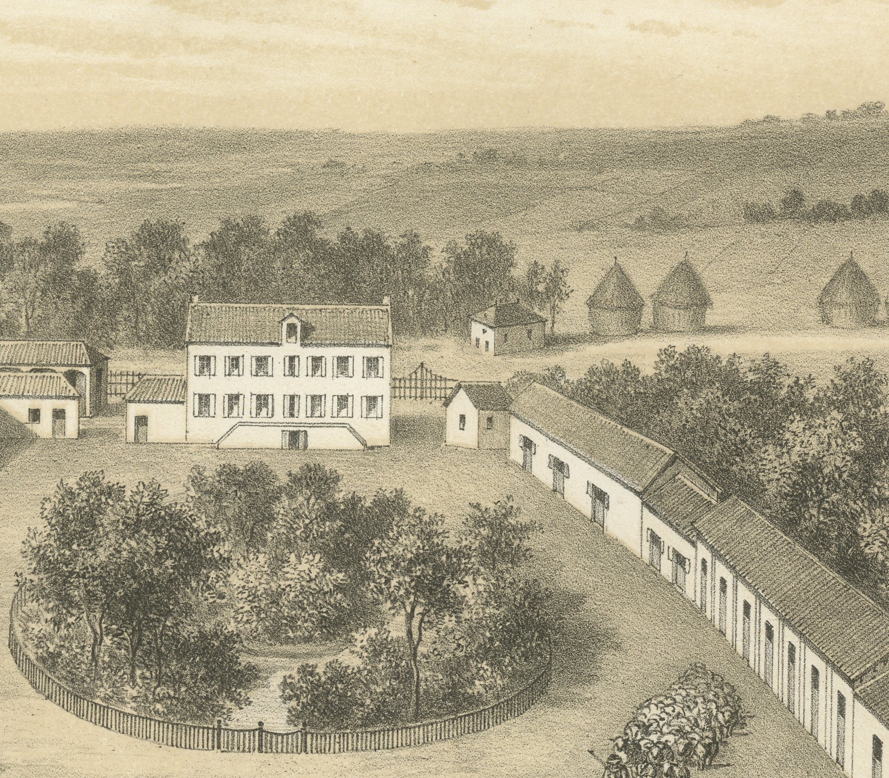 Haut-Tingry National Sheep Farm, Antique French Farm View, 1873, view 4