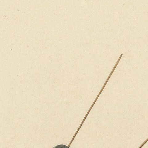 Ceremony of Judgment: Noblemen as Judicial Arbiters, 1847, close-up 5
