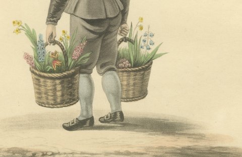 Boy selling Flowers in Rotterdam, Daffodil Baskets, Antique Print, 1817, close-up 2