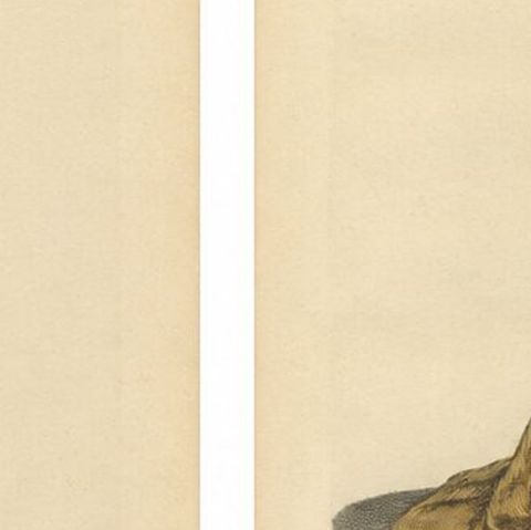 Italian Renaissance Costume Engravings of Padua & Siena, Hand-Colored, 1749, close-up 2