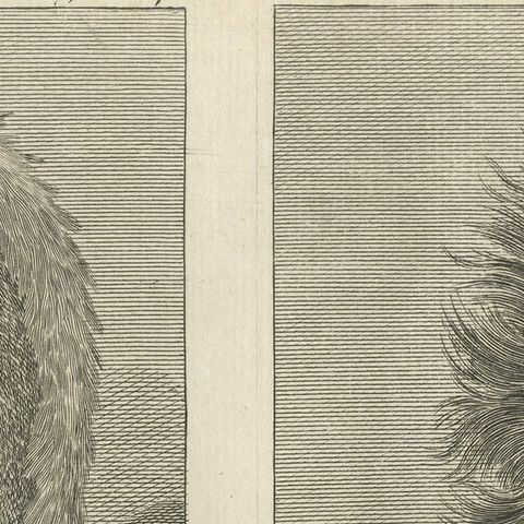 Portraits of Nobility from the Sandwich Islands (Hawaii), Published circa 1790, close-up 6