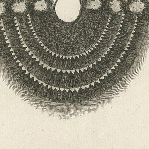 Antique Print Depicting Part of a Native Costume by Cook, 1803, close-up 2