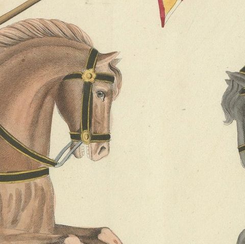 19th-Century Hand-Coloured Print of Armed Horsemen Bearing a Heraldic Banner, close-up 6
