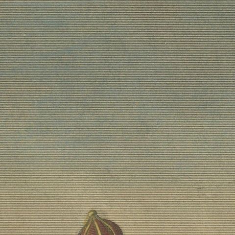 Nagai Tartars, Traditional Dress of Women of Distinction, c.1810 Engraving, close-up 6