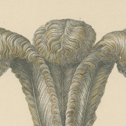 Antique Print of Hat Jewelry with Feathers by Hefner-Alteneck '1890', close-up 1