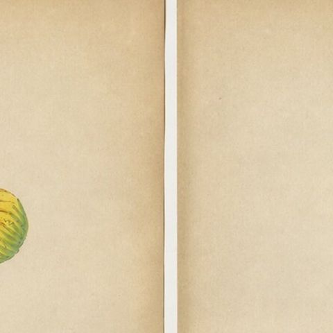Burmese Nobleman & Noblewoman Costume Prints, Hand-Colored Pair, 1854, close-up 1
