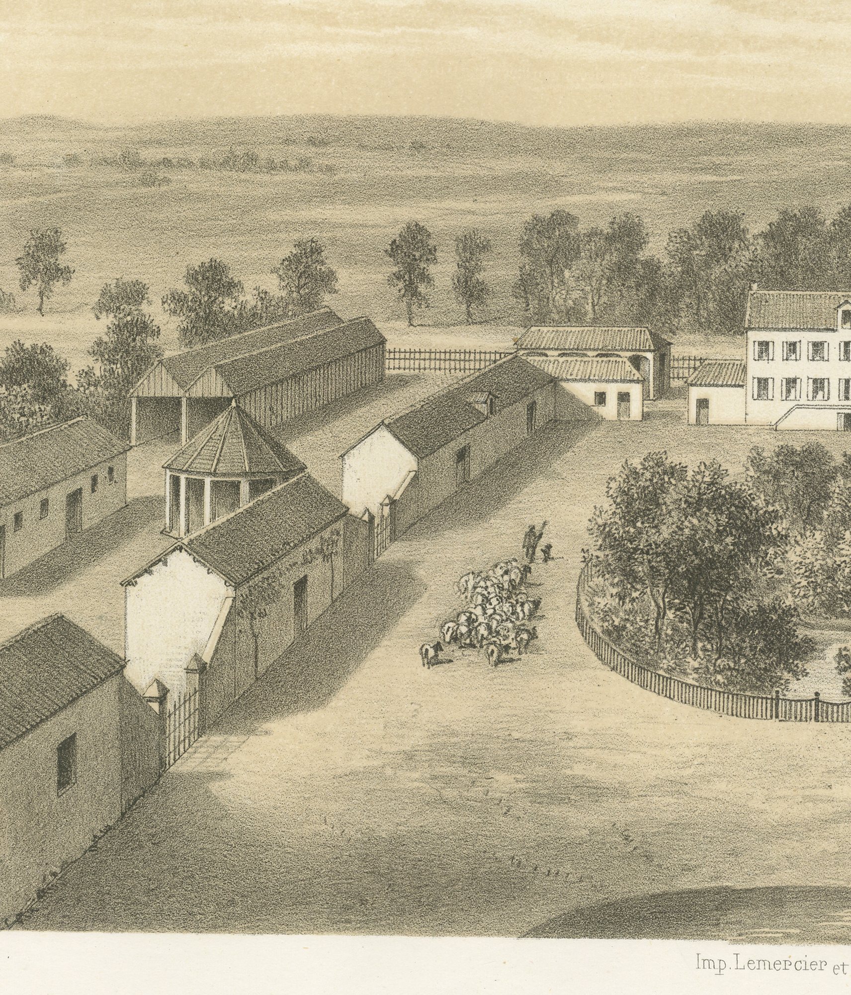 Haut-Tingry National Sheep Farm, Antique French Farm View, 1873, view 3