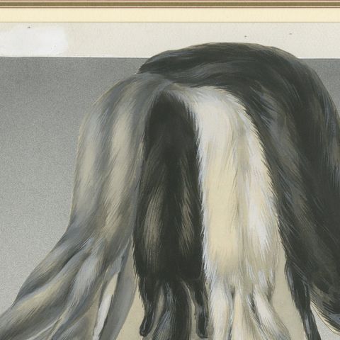 French Art Nouveau Fashion Design of Fur Pelts and Trimmings, c.1910, close-up 6