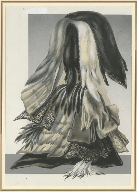 French Art Nouveau Fashion Design of Fur Pelts and Trimmings, c.1910, close-up 5