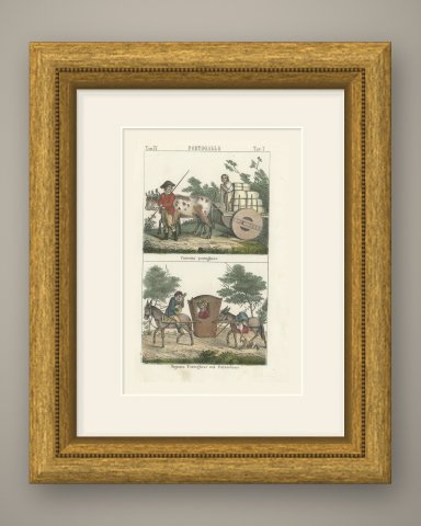 Portuguese Ox Cart and a Lady in a Palanquin, Hand Colored Lithograph, 1842, shown framed