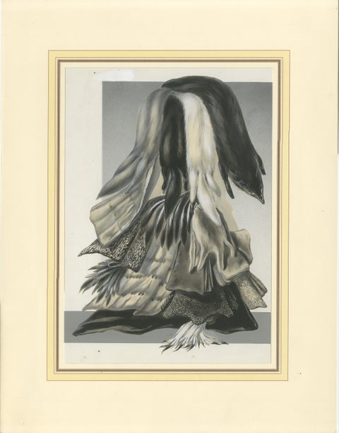 French Art Nouveau Fashion Design of Fur Pelts and Trimmings, c.1910, view 2