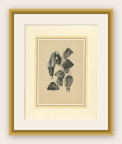 French Art Nouveau Fashion Design of Fur Collars and Stoles, c.1910, shown framed