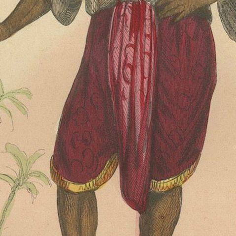 Traditional Siamese Attire: A 19th Century Ethnographic Portrait from Thailand, close-up 5