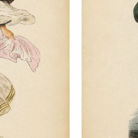 Antique Armenian Costume Prints, Hand-Colored Ethnographic Lithographs, 1852, close-up 2