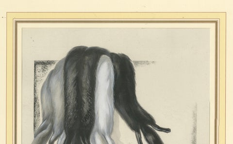 French Art Nouveau Fashion Design of Fur Pelts and Trimmings, c. 1910, close-up 6