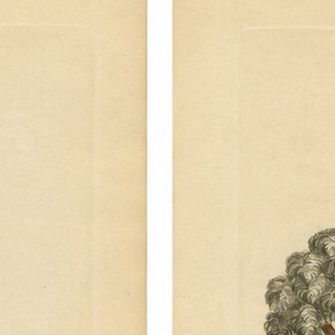 Italian Noblewomen Costume Engravings from Naples, Hand-Colored, 1749, close-up 6