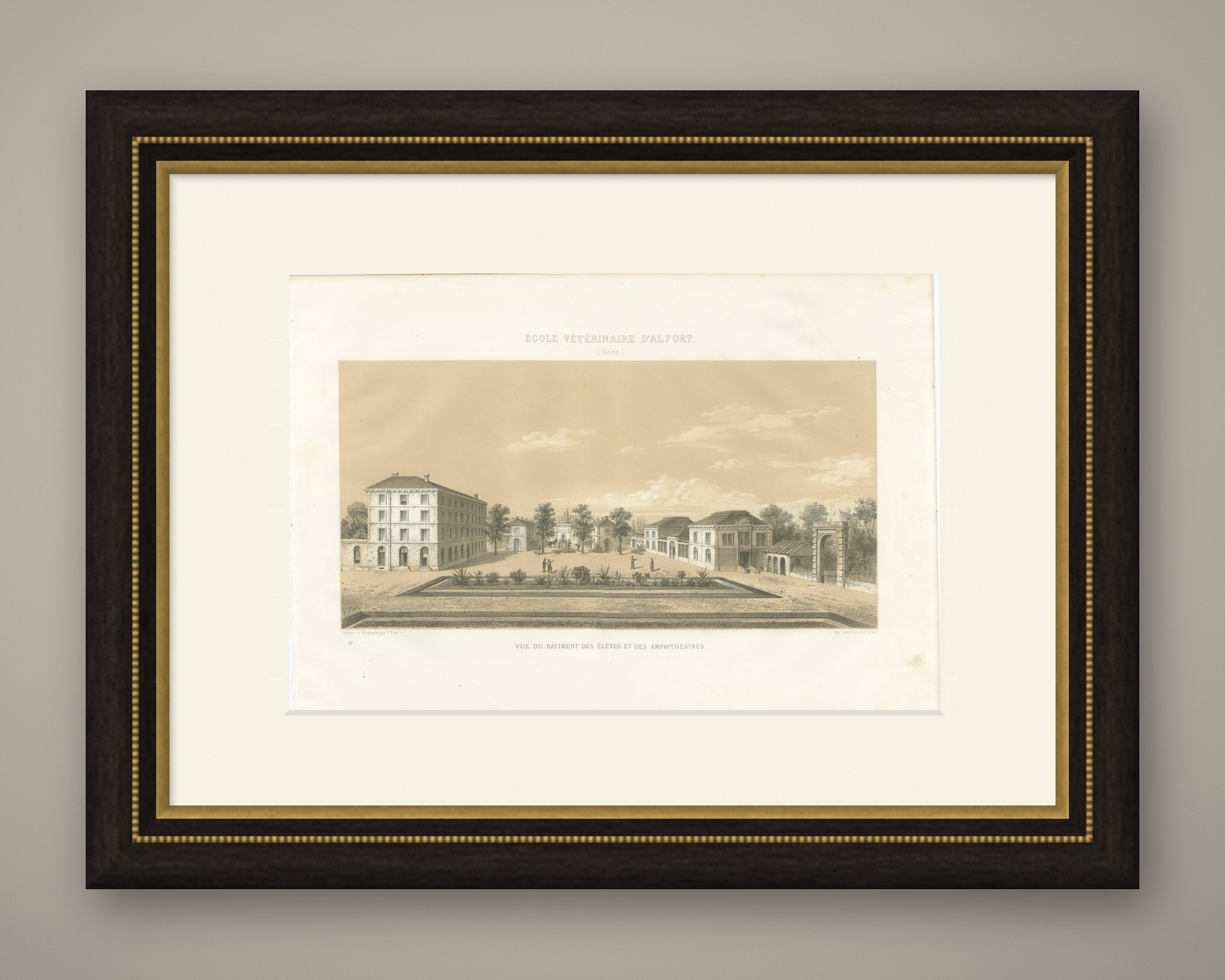 Alfort Veterinary School, Antique French Veterinary Print, 1873, shown framed