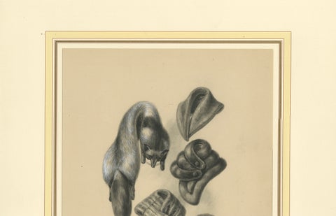French Art Nouveau Fashion Design of Fur Collars and Stoles, c.1910, close-up 3