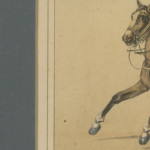 Spanish Cavalry Lithograph by José Rubio y Villegas: Lancers, 1861, close-up 5