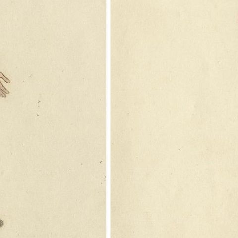 Finnish Folklore: The Rural Dress and Customs of 19th Century Finland, 1814, close-up 2