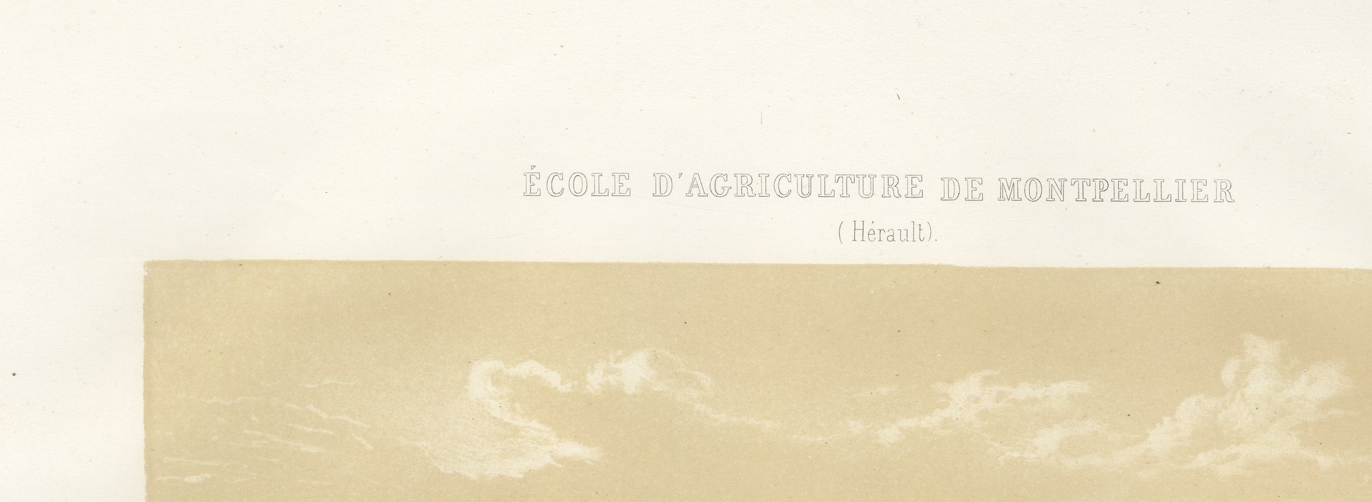 Montpellier Agricultural School Farm Court, Antique Print, 1873, view 3
