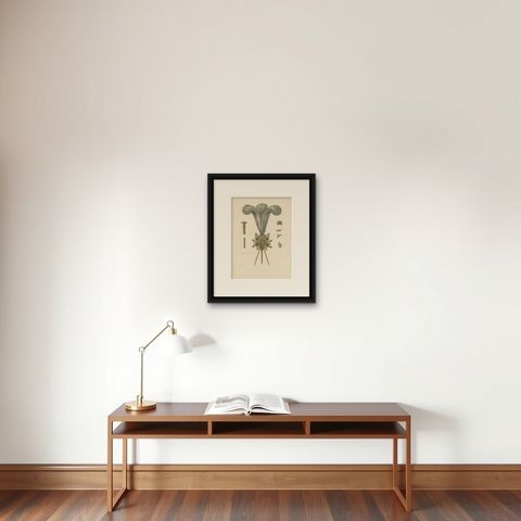 Antique Print of Hat Jewelry with Feathers by Hefner-Alteneck '1890', shown framed on a wall
