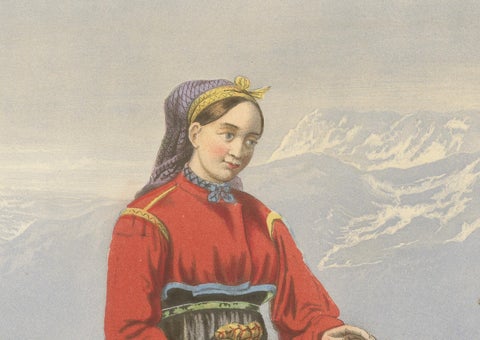 Antique Norwegian Costume Print, Hitterdal in Telemark, circa 1860s, close-up 3